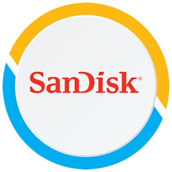 Picture for manufacturer SanDesk